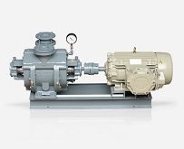 پمپ وکیوم روغنی برای صنایع غذایی